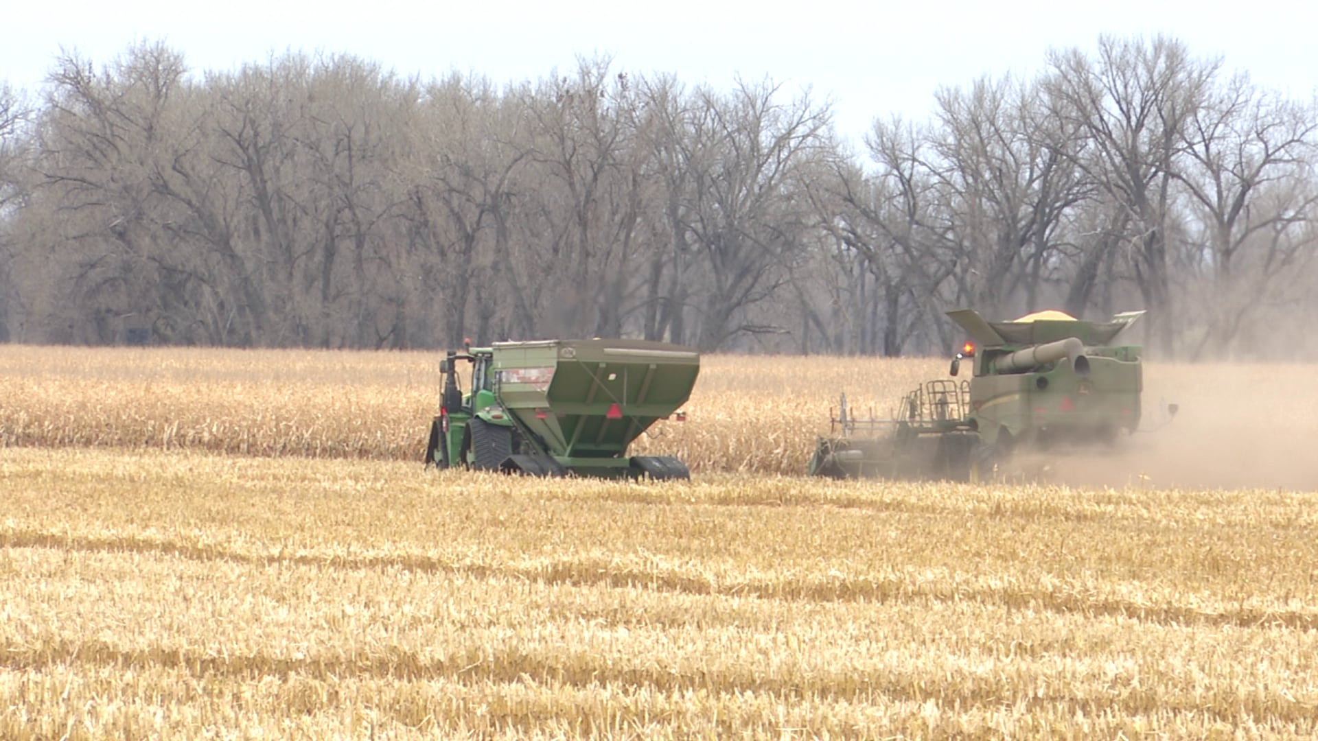 Harvest progresses in Burleigh and Divide counties with mixed corn outlooks