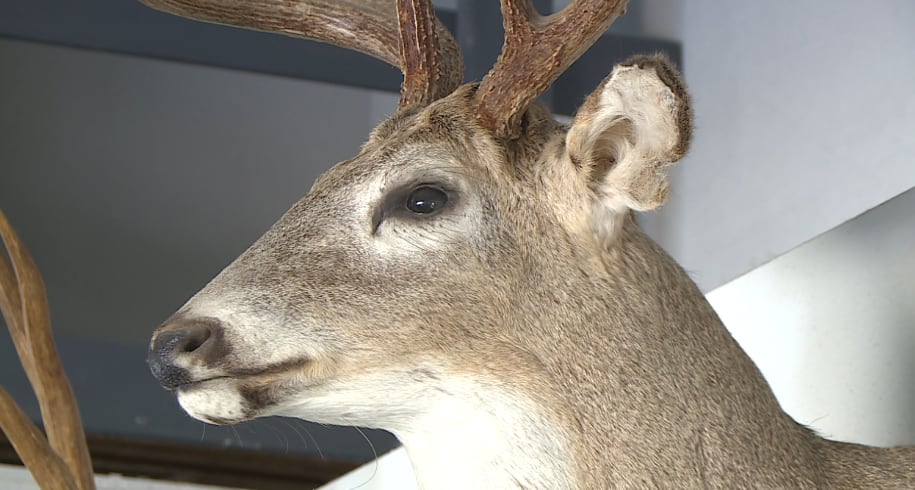 Hunter-harvested surveillance program still in effect, hunters encouraged to test deer