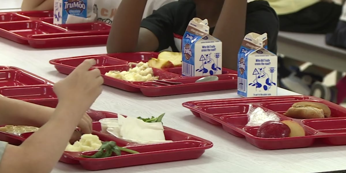 今年 11 月投票中的免费学校午餐:选民必须决定措施 2 今年 11 月投票中的免费学校午餐:选民必须决定措施 2