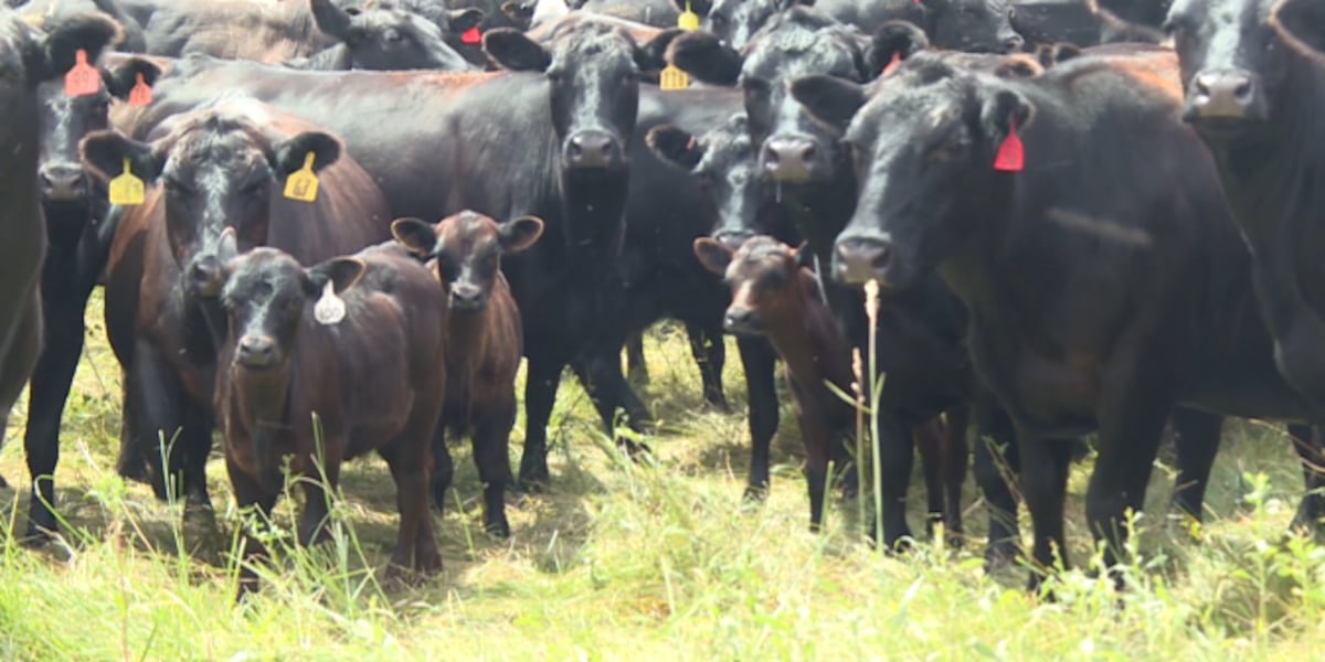 North Dakota Stockmen’s Association responds to President Trump