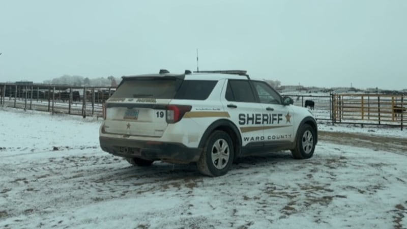 Prosecutors open up series of new cases in cattle feedlot case