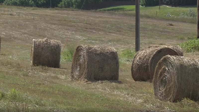 The Trump Administration has announced an $8 billion federal program to help farmers who are...
