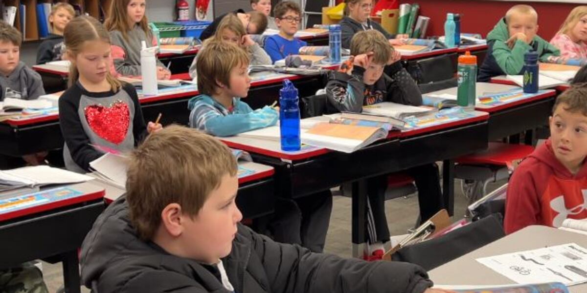 Alexander Ps Alexander Public School seeking $15.5 million bond for expansion