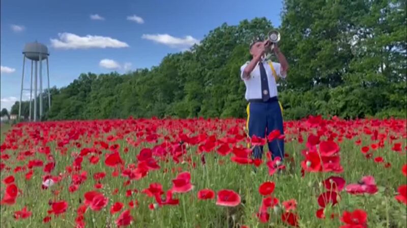 A poppy festival in Kentucky honors veterans on Memorial Day weekend.