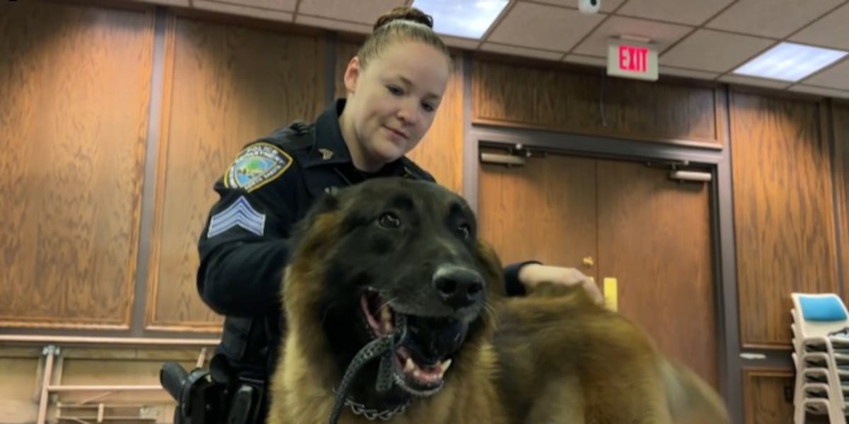 Techhandler Minot K9 survives chemical burn thanks to Army tech, handler’s actions