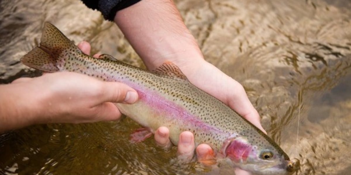 ND Game And Fish s Website For Anglers nd-game-and-fish-s-website-for-anglers