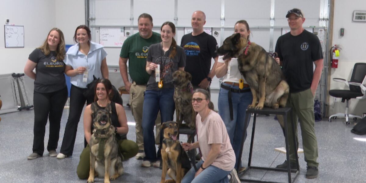Handler Face Students of retired police K-9 handlers face off in sniffing competition