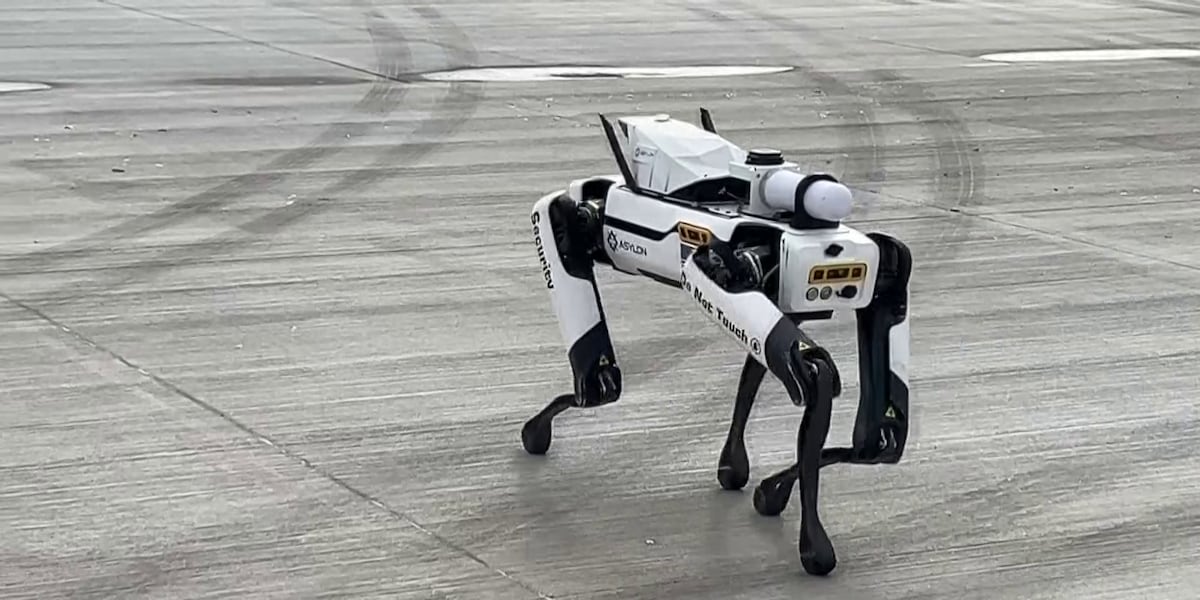 Security Storeroom Graphics This dog-like robot adds security layer to businesses nationwide