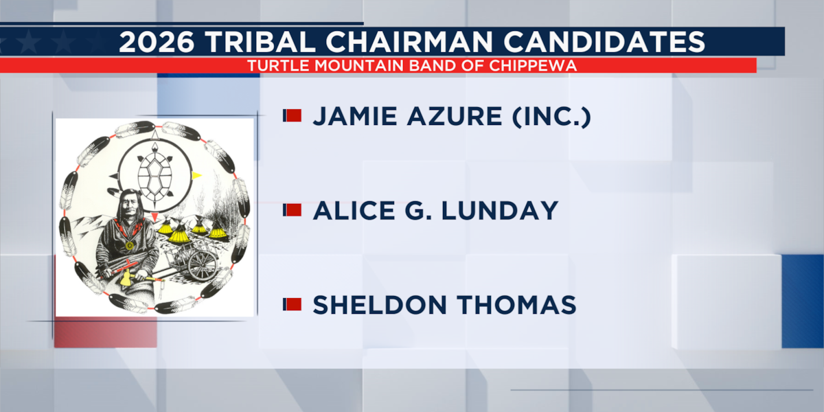 Turtle Graphics Programing Three vying for Turtle Mountain Tribal Chairman in 2026 elections