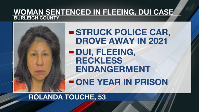 Woman who Bismarck police say hit police car and fled to see one year ...