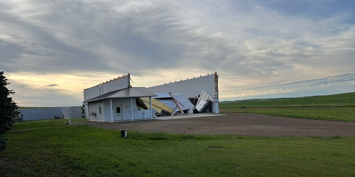 Strong storms cause tree and property damage in southern North Dakota