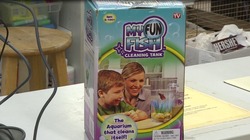 My fun fish tank clearance