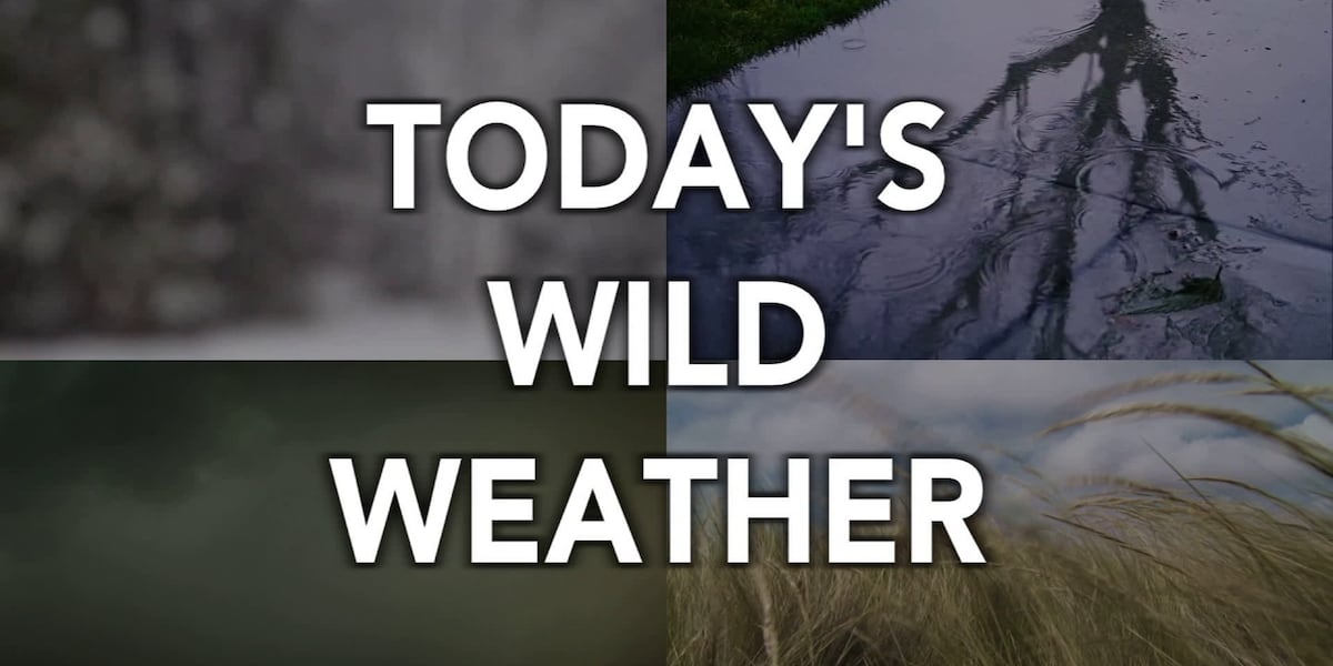 Wild weather: on this date