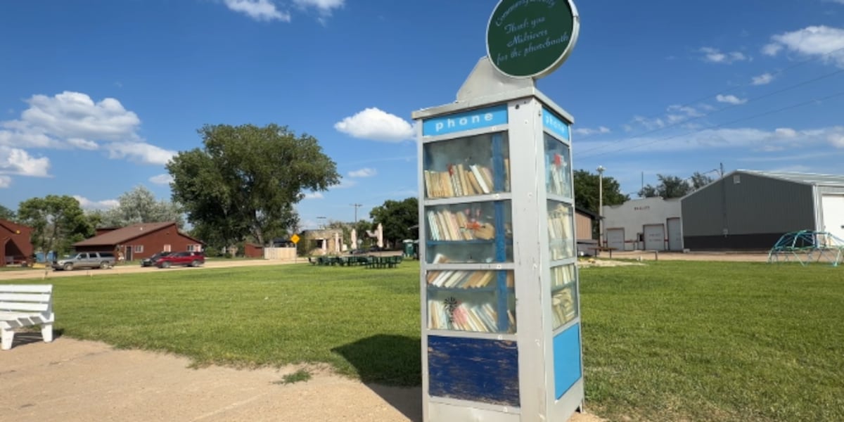 A new chapter: old phone book repurposed into Little Free Library