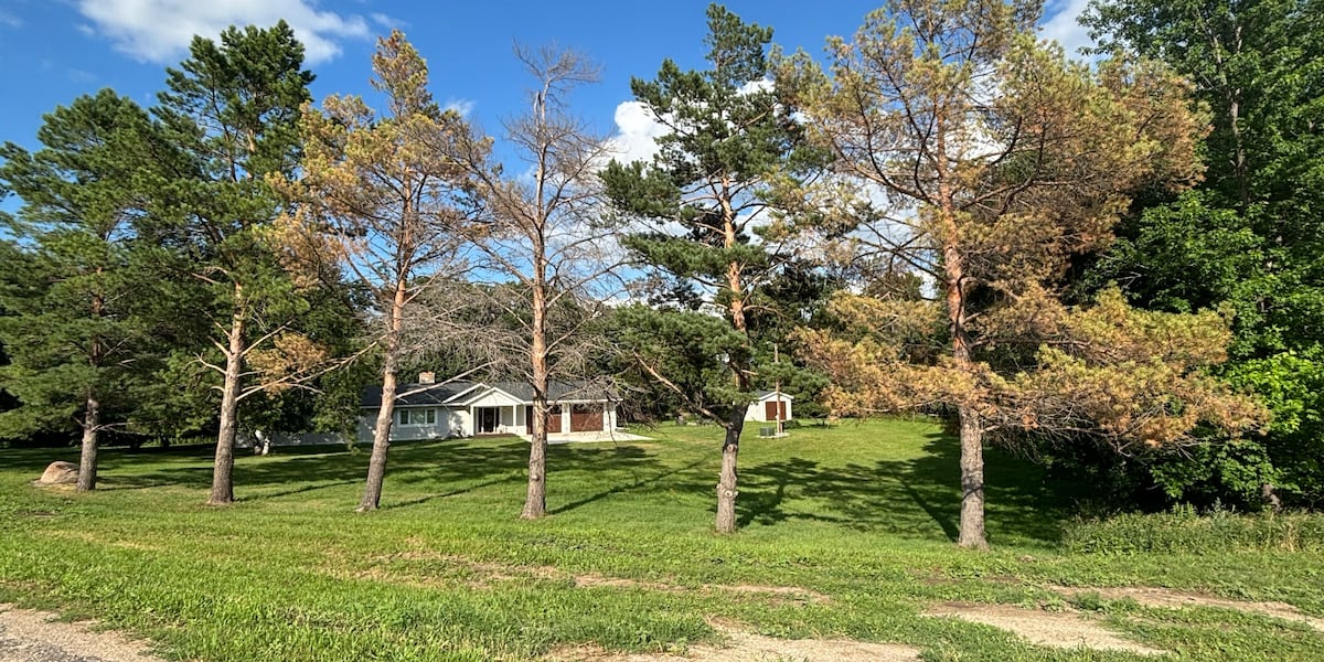 Pine wilt disease confirmed in North Dakota