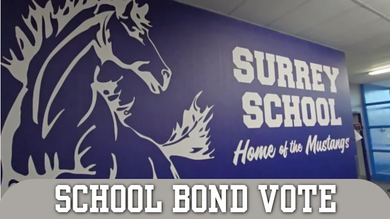Surrey Public School brings referendum back to voters