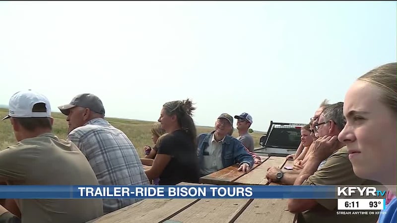 The Nature Conservancy is marking 40 years of bison stewardship at Cross Ranch Preserve near...